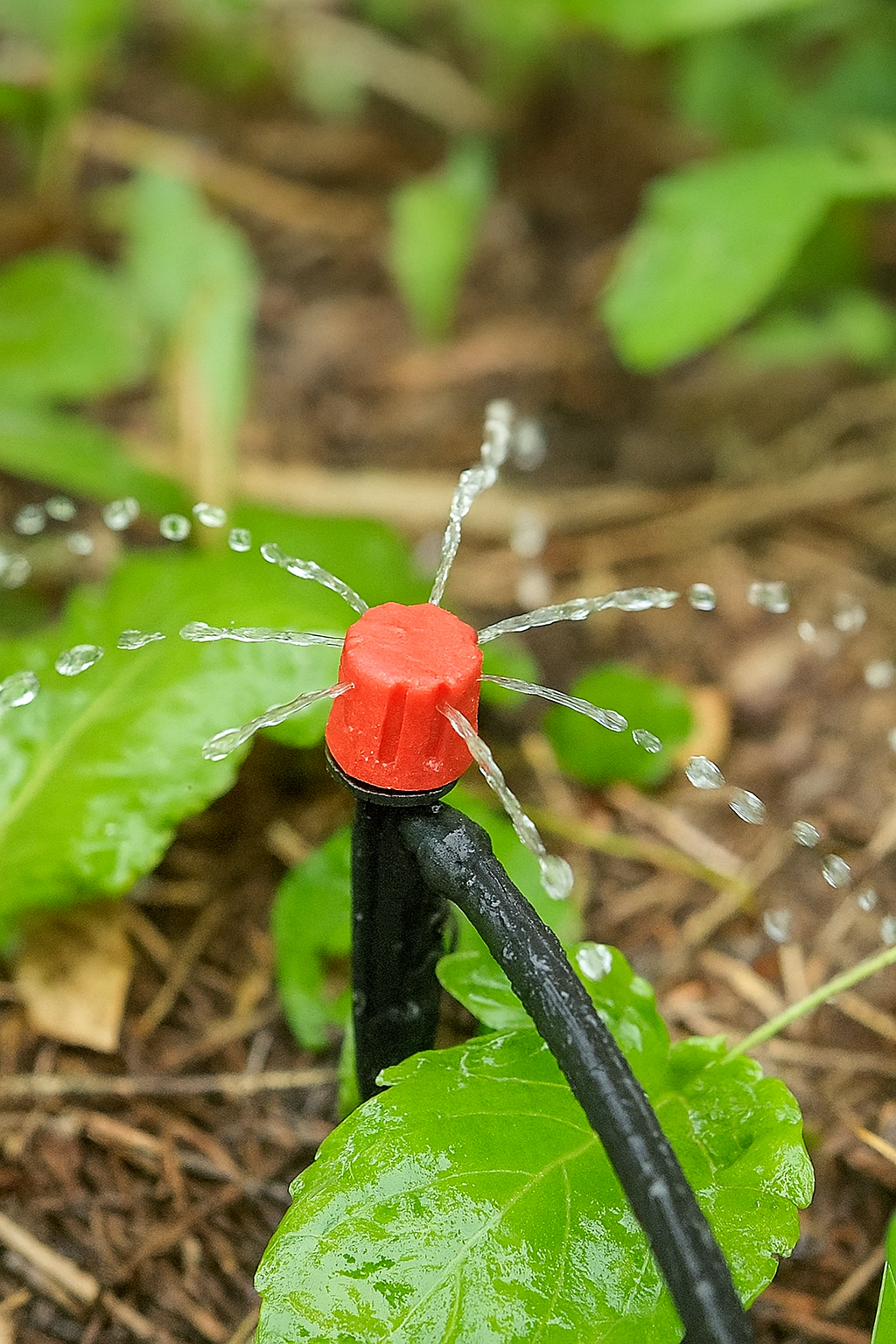 Standard DripSmart Irrigation System